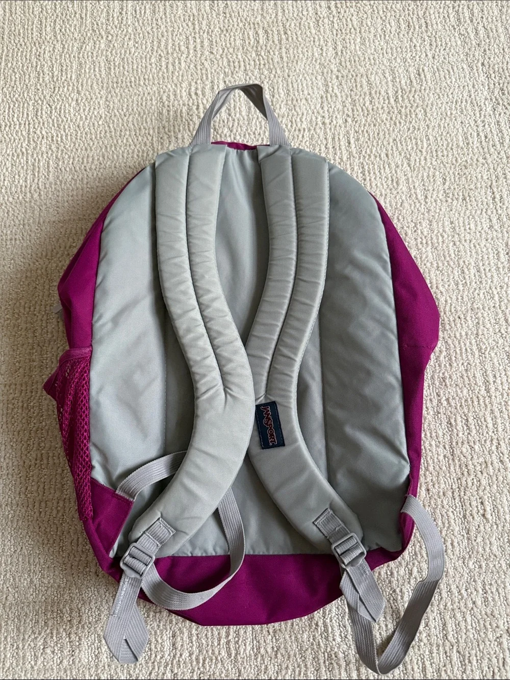 Jansport Magenta Everyday Backpack for Men